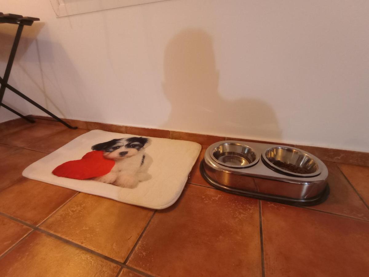Casa De Campo Los Manueles Ideal Perros Pet Friendly Gojar ภายนอก รูปภาพ
