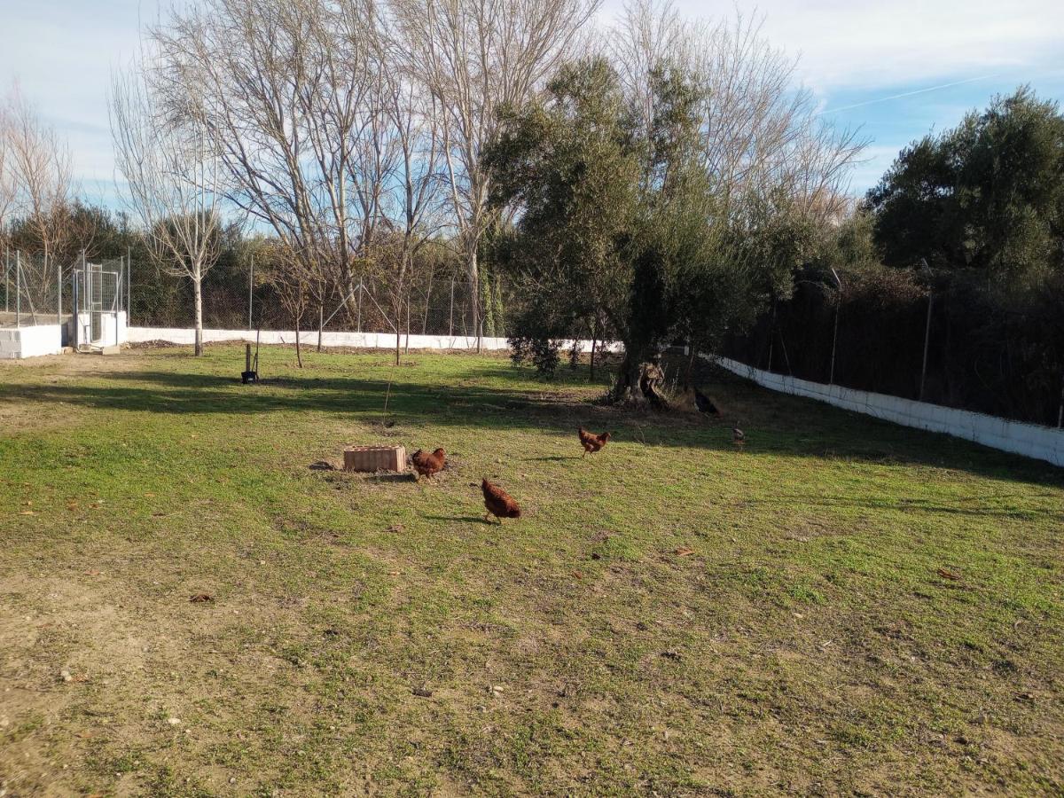 Casa De Campo Los Manueles Ideal Perros Pet Friendly Gojar ภายนอก รูปภาพ
