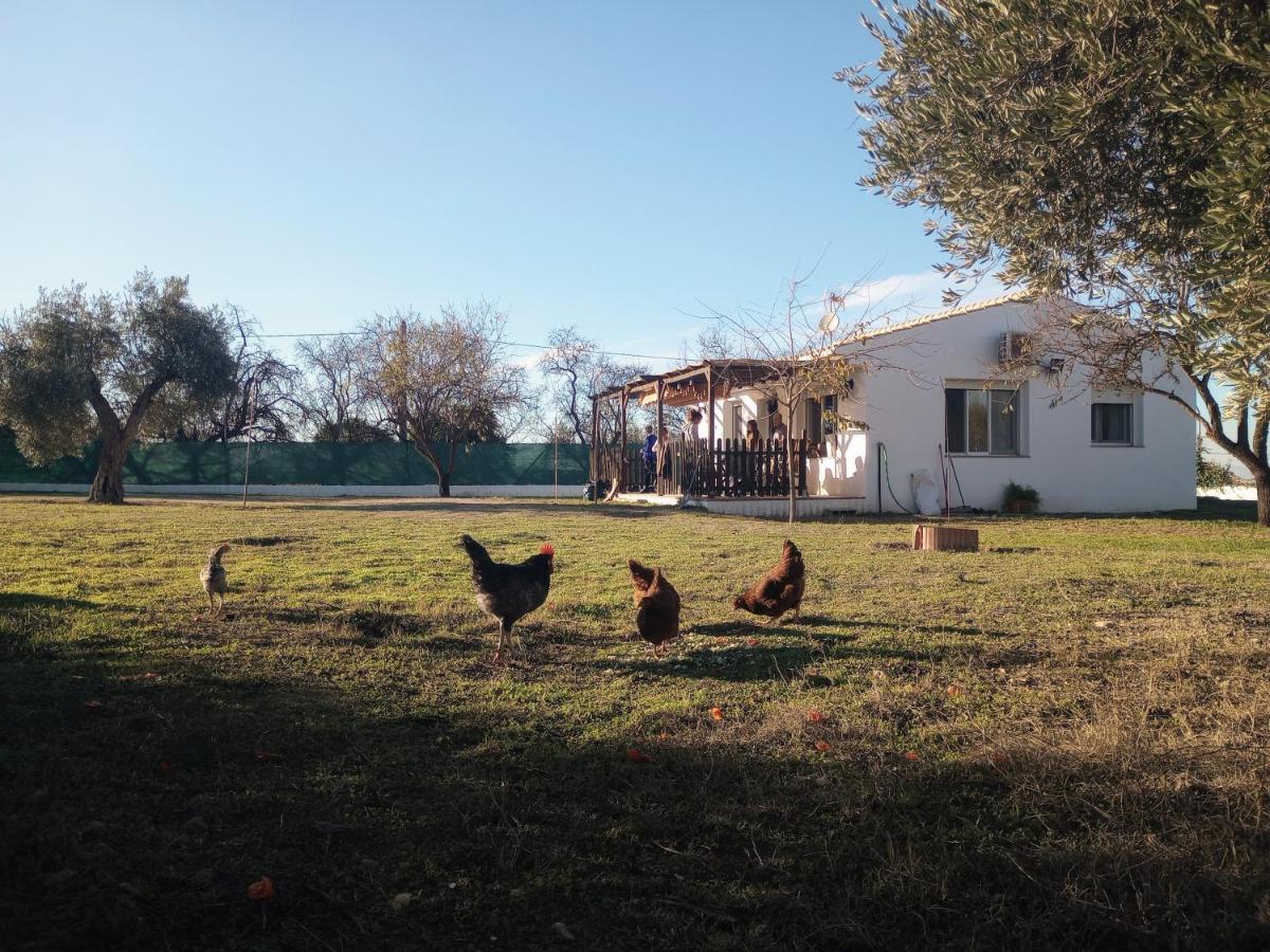 Casa De Campo Los Manueles Ideal Perros Pet Friendly Gojar ภายนอก รูปภาพ