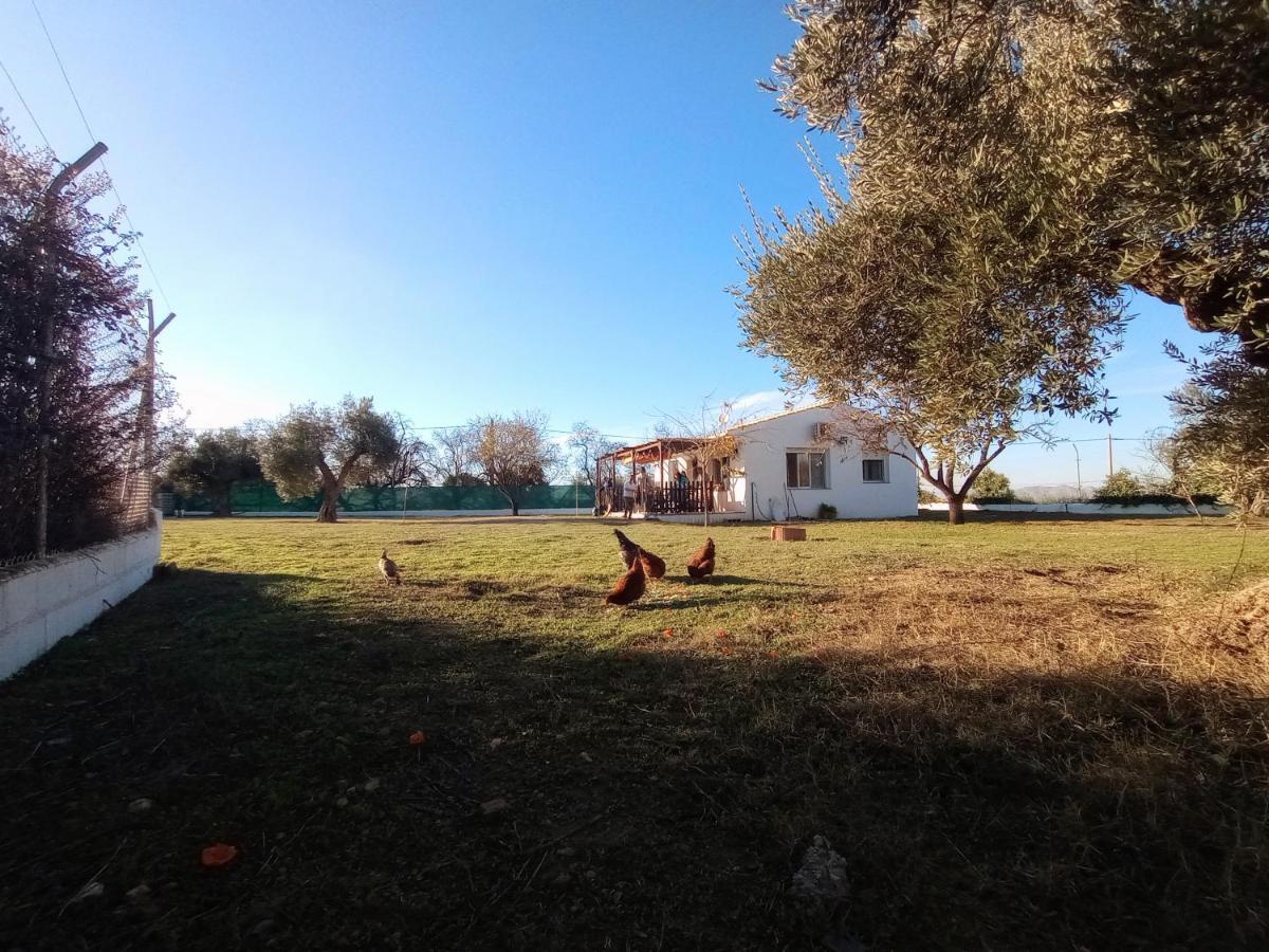 Casa De Campo Los Manueles Ideal Perros Pet Friendly Gojar ภายนอก รูปภาพ
