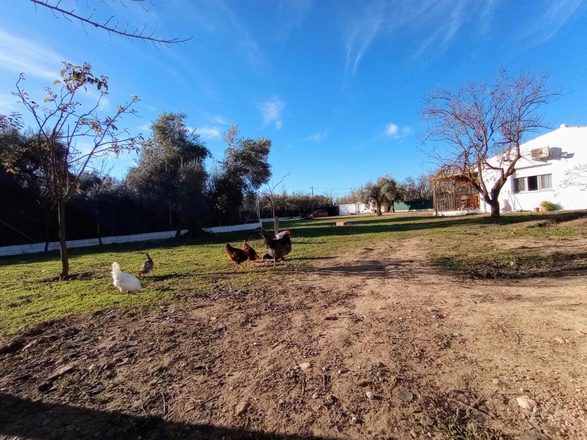 Casa De Campo Los Manueles Ideal Perros Pet Friendly Gojar ภายนอก รูปภาพ
