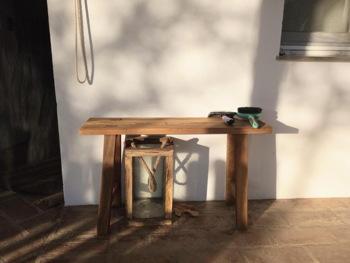 Casa De Campo Los Manueles Ideal Perros Pet Friendly Gojar ภายนอก รูปภาพ