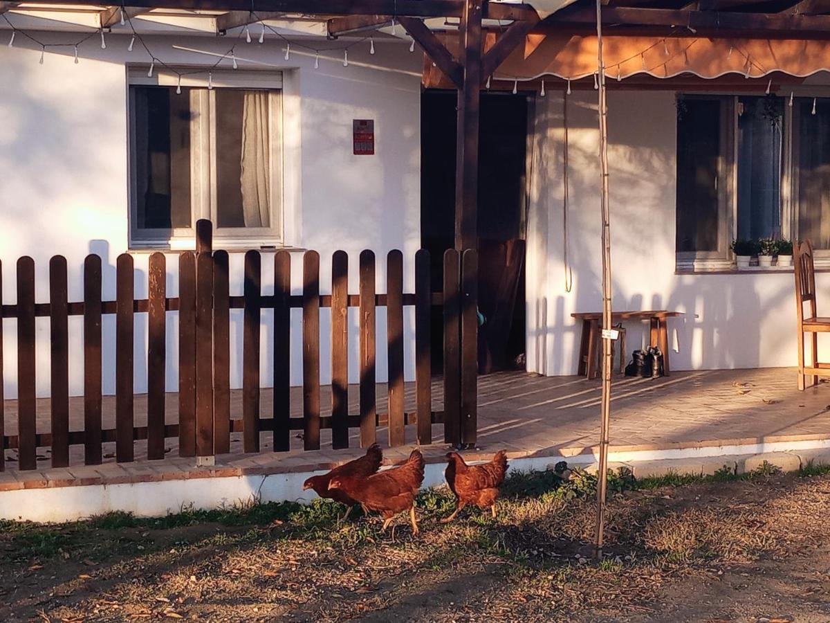 Casa De Campo Los Manueles Ideal Perros Pet Friendly Gojar ภายนอก รูปภาพ
