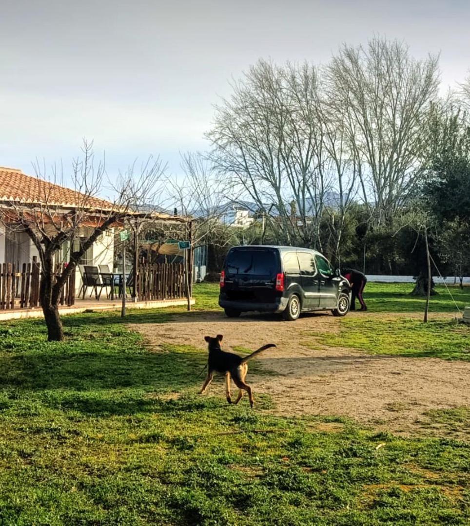 Casa De Campo Los Manueles Ideal Perros Pet Friendly Gojar ภายนอก รูปภาพ