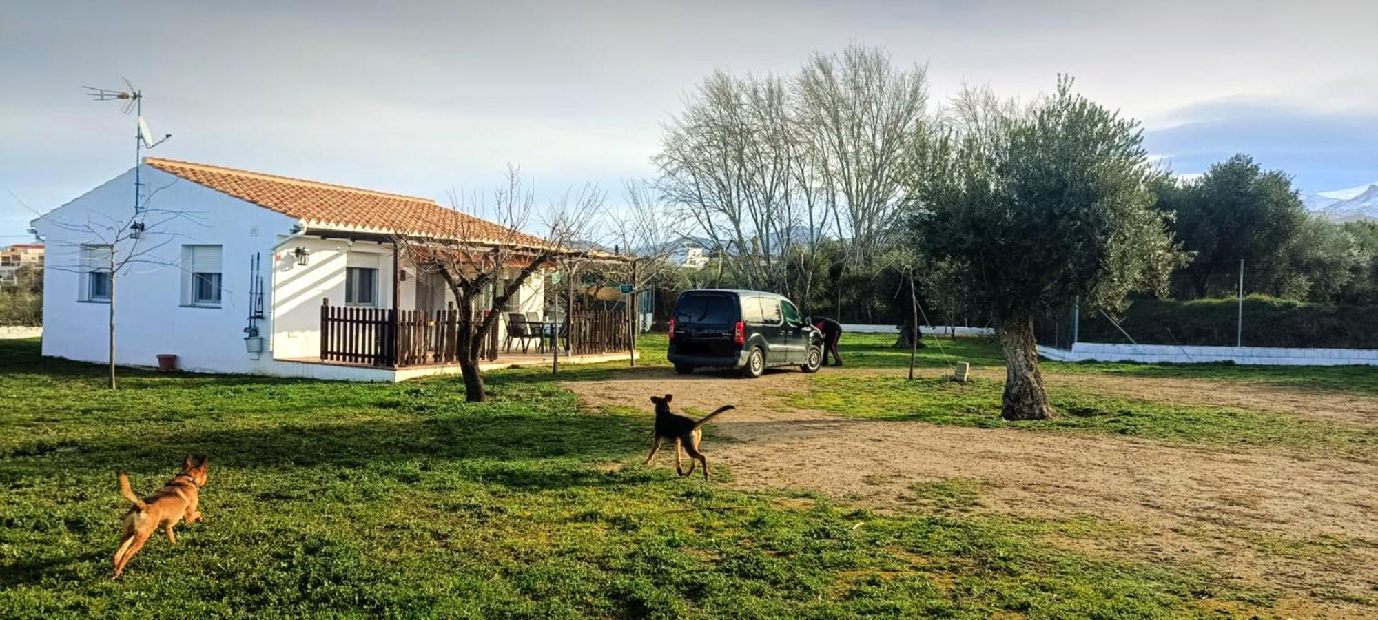 Casa De Campo Los Manueles Ideal Perros Pet Friendly Gojar ภายนอก รูปภาพ